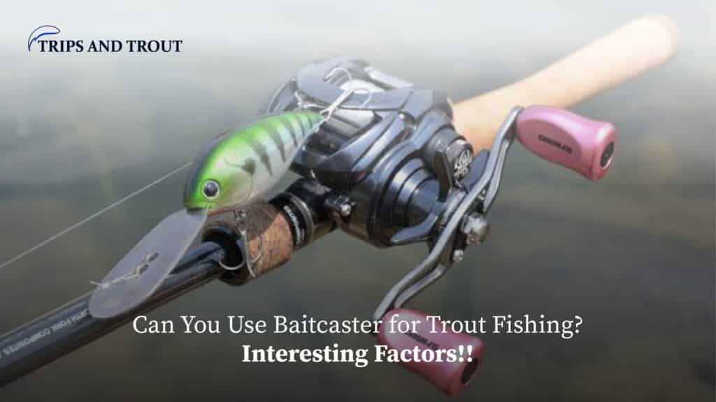 Can you use Baitcaster for Trout Fishing