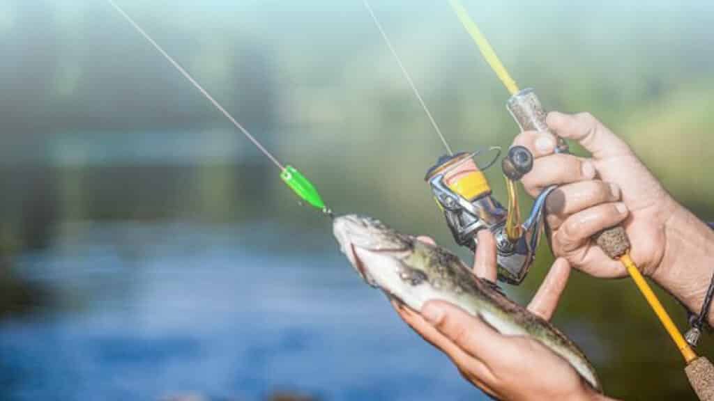 Can you use Baitcaster for Trout Fishing