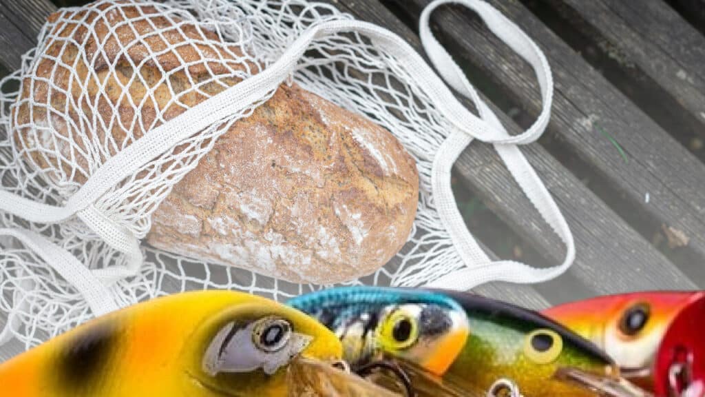 Do Trout Eat Bread?