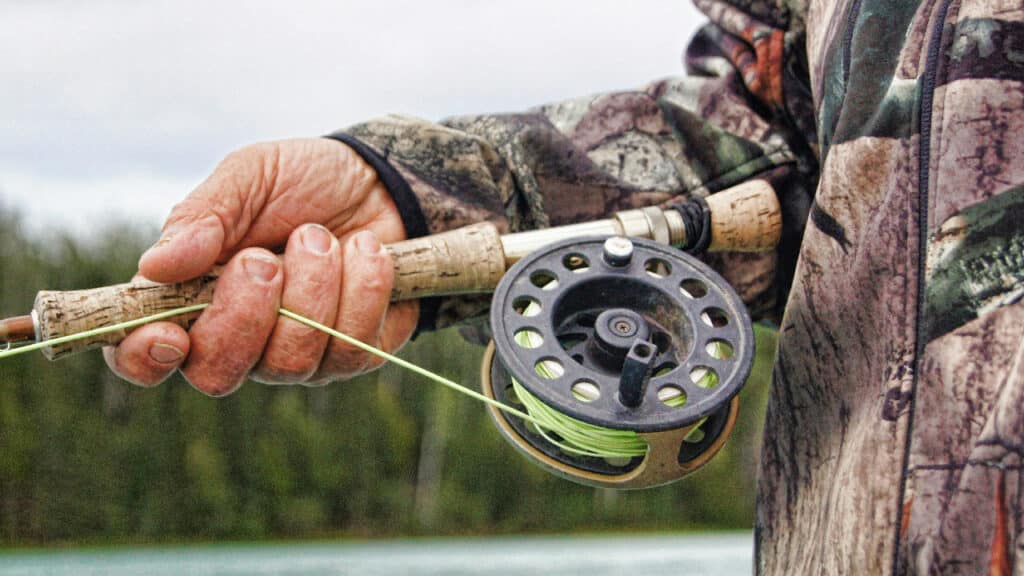 What Size Line is Best for Trout Fishing?