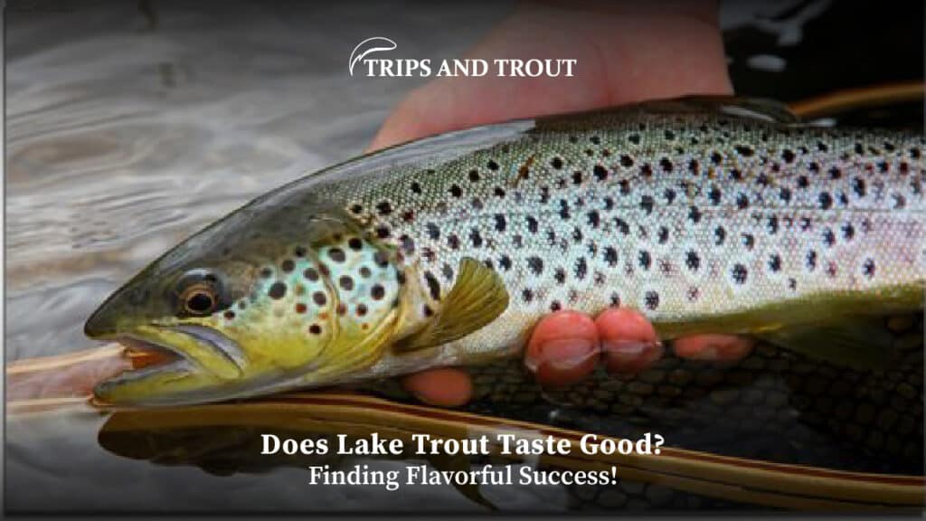 Does Lake Trout Taste Good?