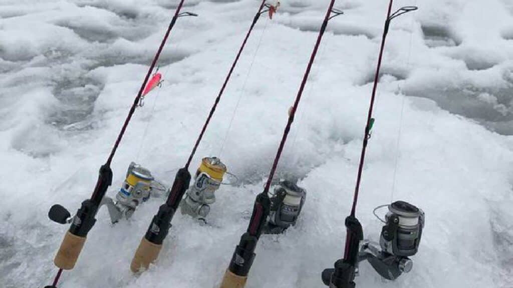 Ice Fishing Rainbow Trout