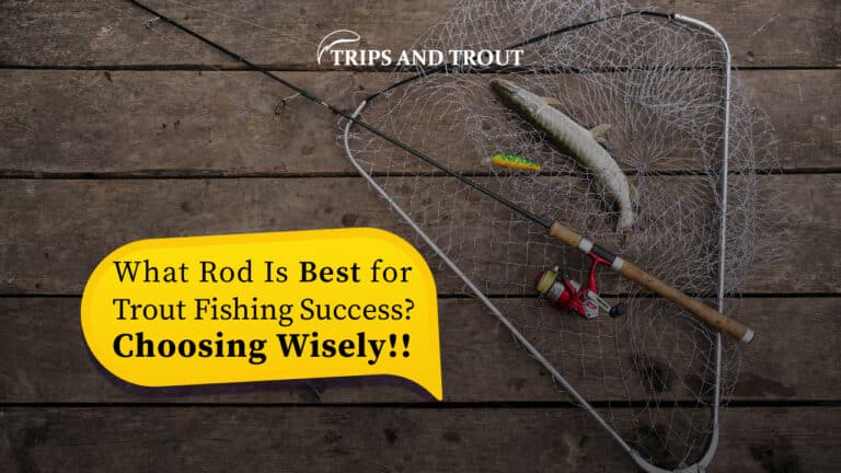 what rod is best for trout fishing