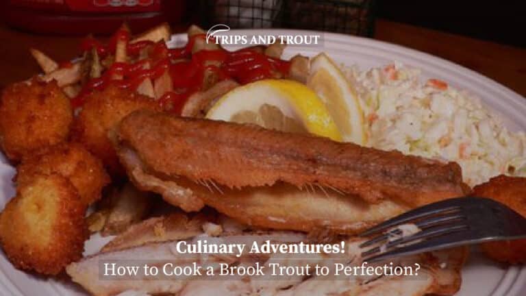 How to Cook a Brook Trout